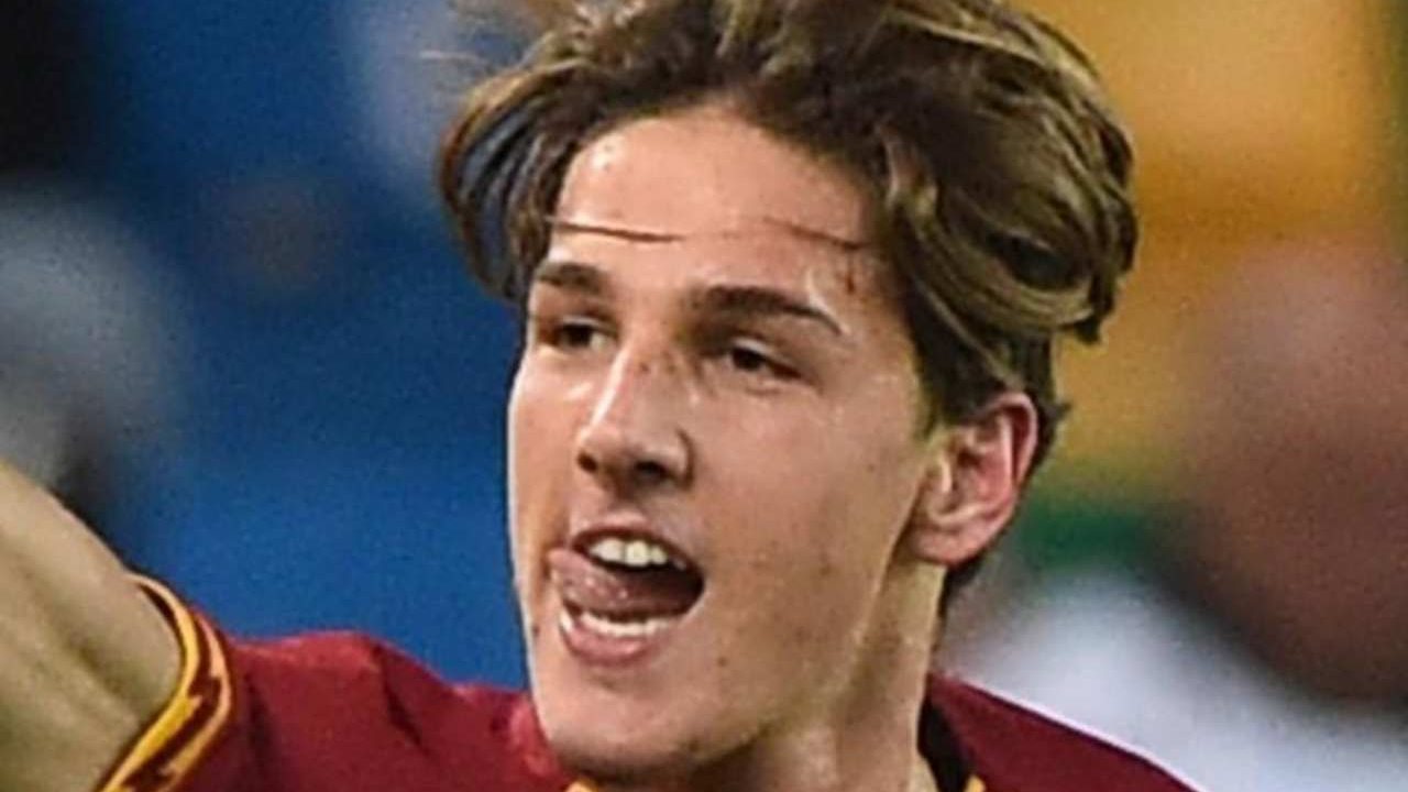 Zaniolo 